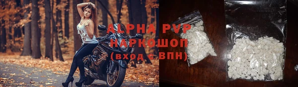 дживик Няндома