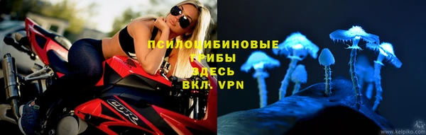 МДПВ Алексеевка