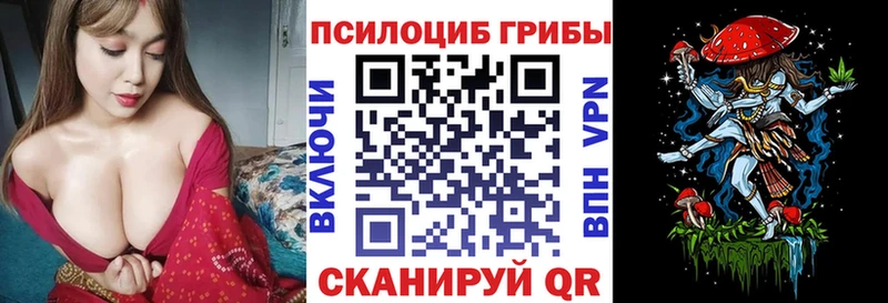 Галлюциногенные грибы Cubensis  Щигры 